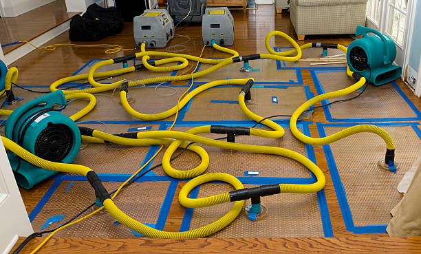 Professional Basement Flood Cleanup technician working in Jamestown, TN